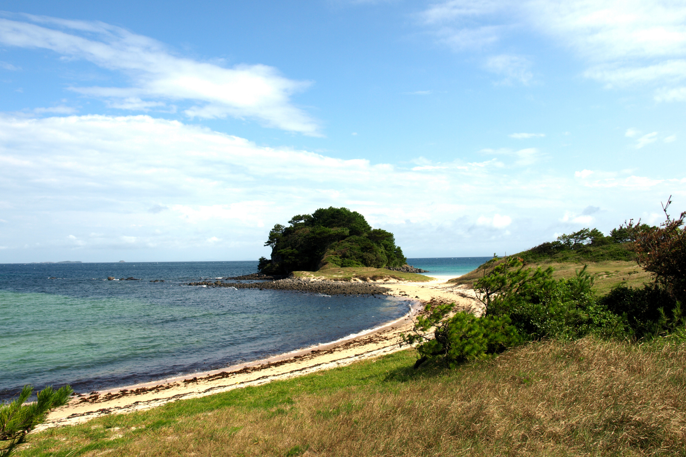 iki island.webp